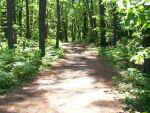 Pathway north side of Massabesic walking south